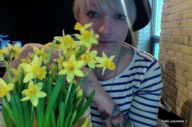 Narcissus, Spring Flower