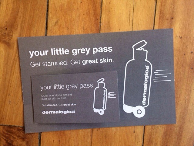 Your Face is Your Fortune | Dermalogica's Little Grey Pass 