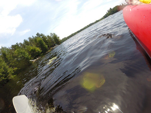 Cottage is the Life for Me