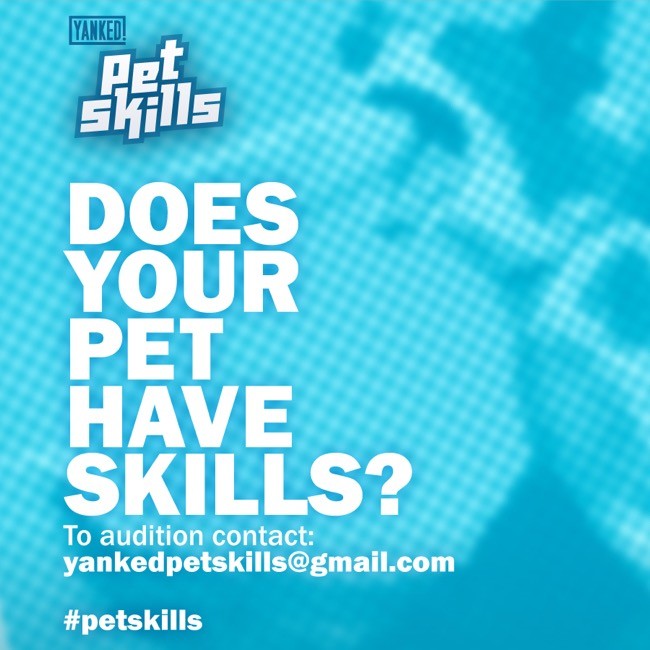 Can Your Goldfish Do The Backstroke? #PetSkills