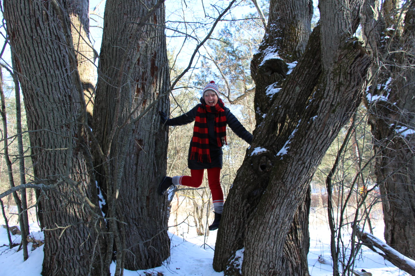 Travel | Treehouse Glamping in Ontario w/ Glamping Hub