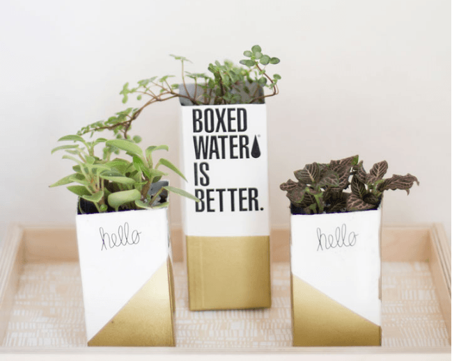 kaylee, the blondielocks, planters, blogger, DIY, boxed water