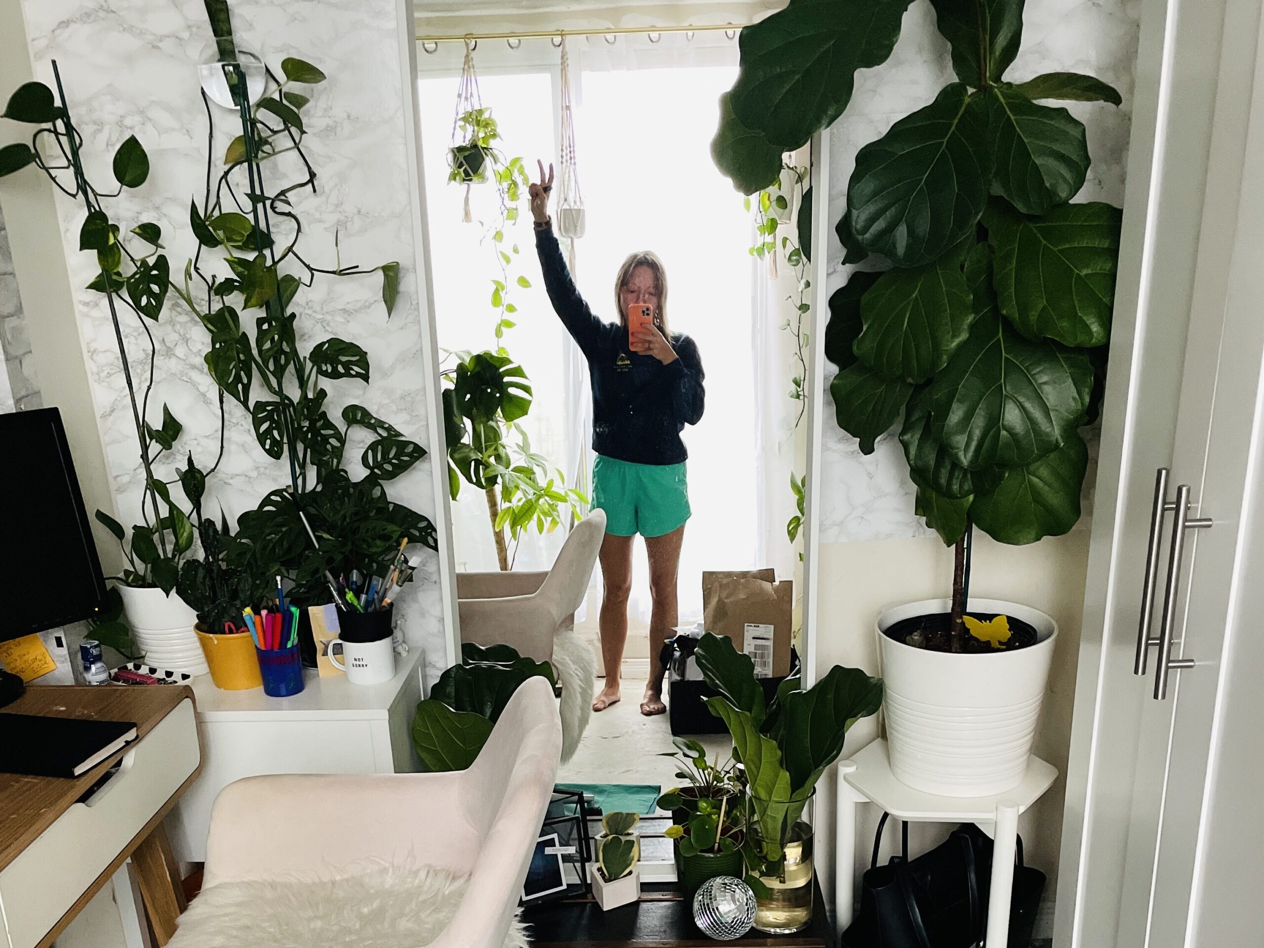 Day 578: TikTok Plant Hack – Aerial Roots