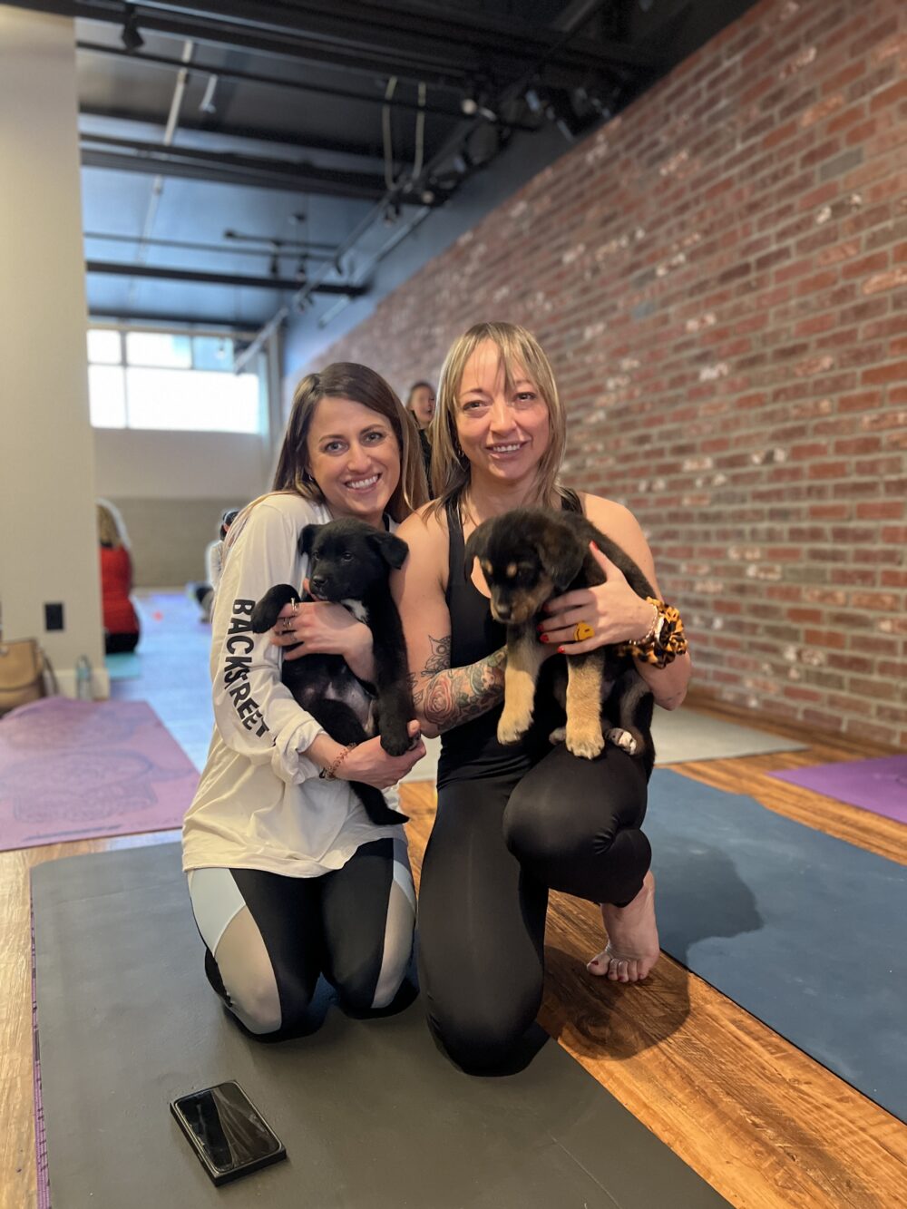 Puppy Yoga with Toronto Doggos, Casie Stewart
