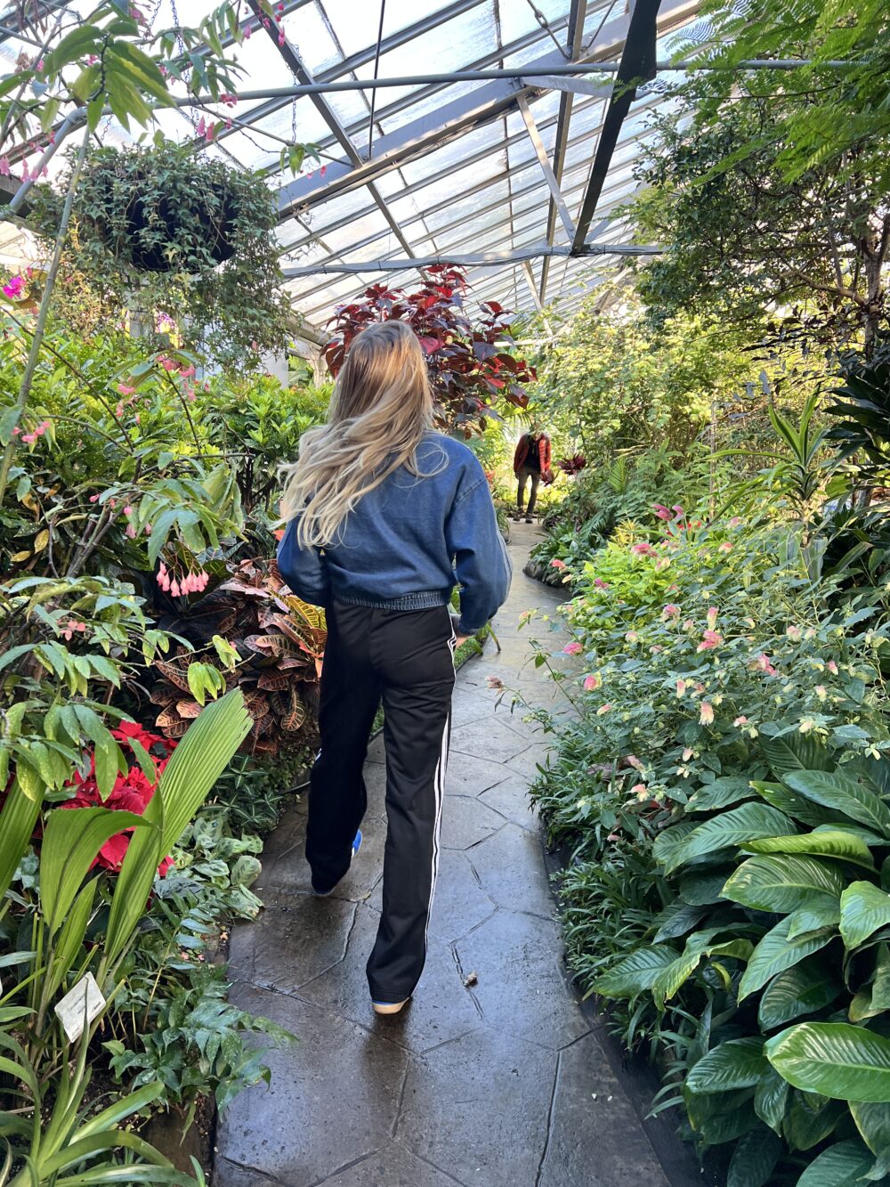 CASIE STEWART_WINTER SAD 2026_ALLAN GARDENS_27