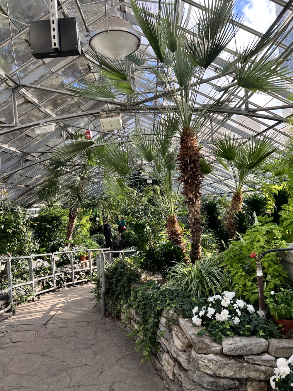 CASIE STEWART_WINTER SAD 2026_ALLAN GARDENS_29