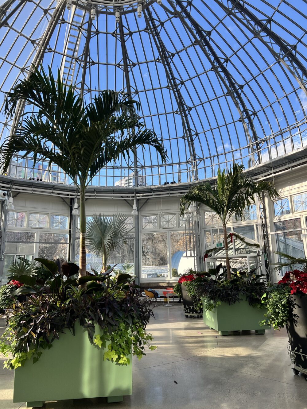 CASIE STEWART_WINTER SAD 2026_ALLAN GARDENS_30